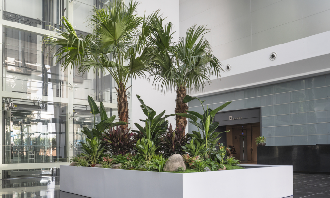 寫字樓裝修如何設(shè)計大廳綠植 寫字樓裝修如何設(shè)計大廳綠植