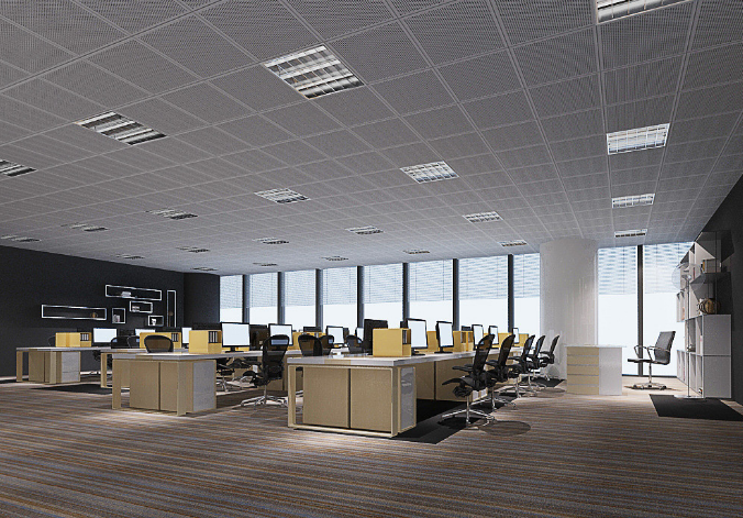 上海辦公室裝修設(shè)計(jì)：銅錢草，如何巧妙融入空間美學(xué)？