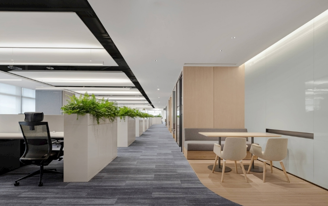 辦公室裝修設計壁紙紋理大比拼，這樣選讓你的空間瞬間升級！